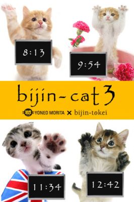 bijin-cat3