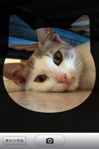 たまにはひとりになりたいの