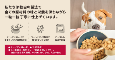 トピック