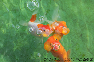 トピック