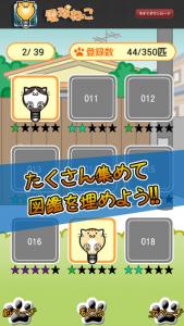 電球ねこ