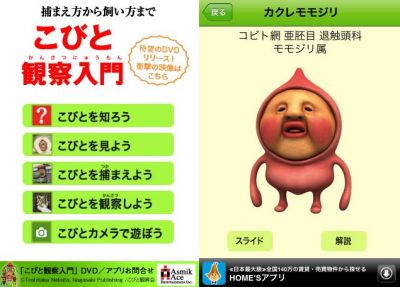 こびと