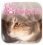 猫神経衰弱