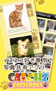 Catch!CATS&DOGS
