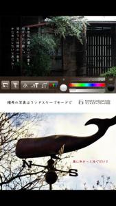 フォト一句 キナリ