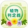 植物判定器