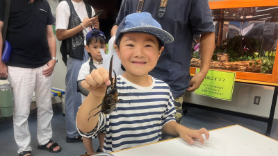 アクティビティ