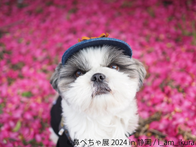 トピック