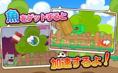 逃げねこ