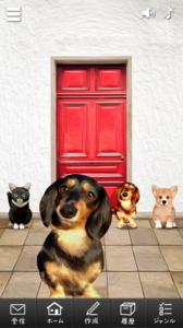 KnockKnock
