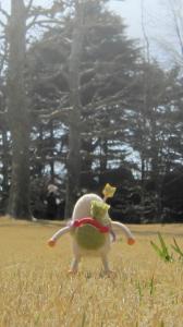エンタメ