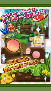 こびと観察パズル