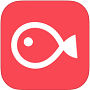 Vimo