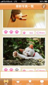ねこまみれ