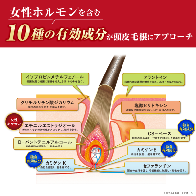 ビューティ