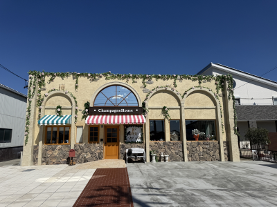 アクティビティ