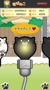電球ねこ