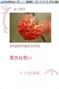 花言葉Plus占い