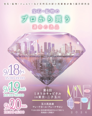 アクティビティ