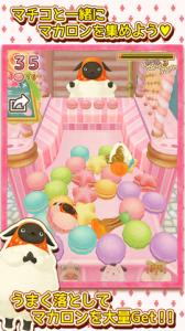 やんやんマチコ