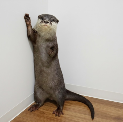 トピック