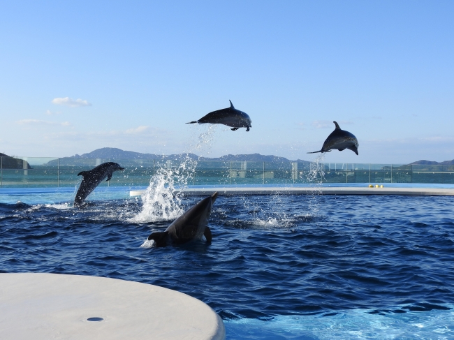 四国水族館