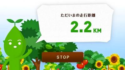 リーフェルのナンバープレート島