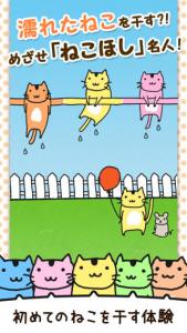 ねこほし