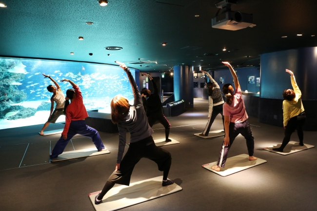 サンシャイン水族館で「海の中の水族館ヨガ」を開催