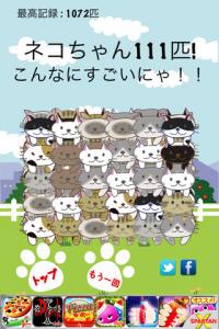 ネコはまりすぎ