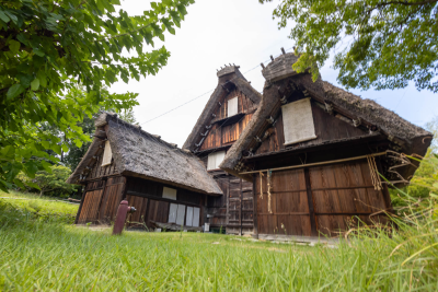 アクティビティ