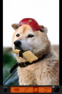 スシノアナ