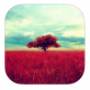 GloomLogue