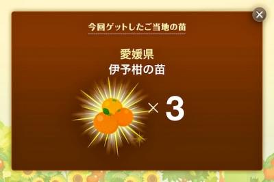 リーフェルのナンバープレート島
