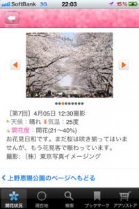 るるぶお花見特集2013