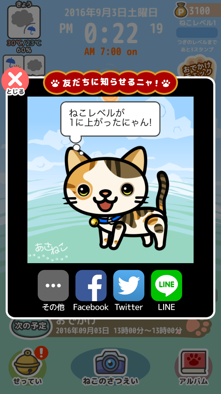 あさねこ