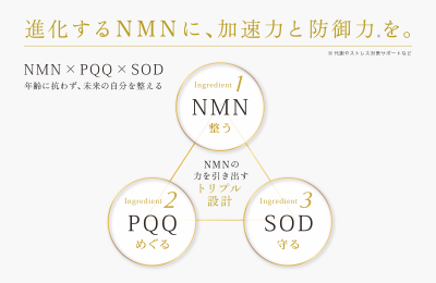 ビューティ