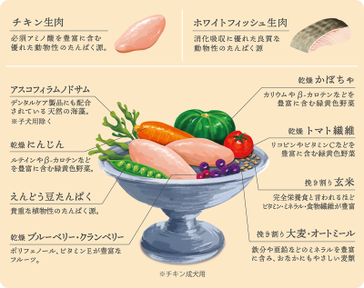 トピック