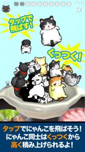 にゃんこ盛り