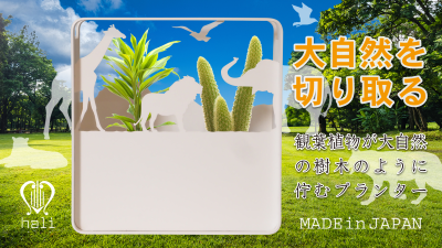 インテリア