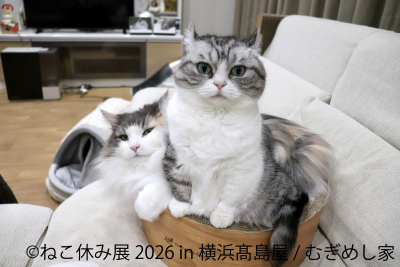 トピック