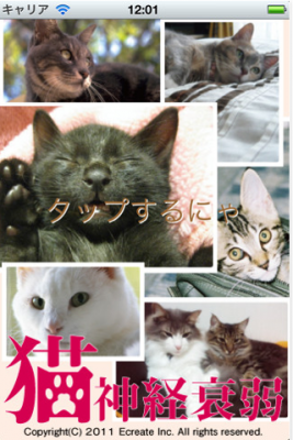 猫神経衰弱