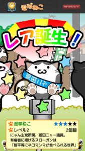 電球ねこ