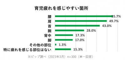 ピップエレキバン