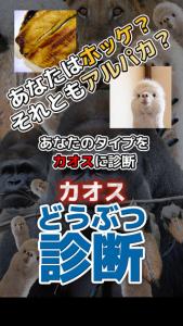 カオスどうぶつ診断