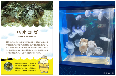 アクティビティ