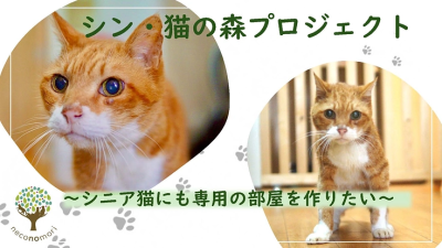 トピック