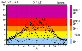 ウーマンNS