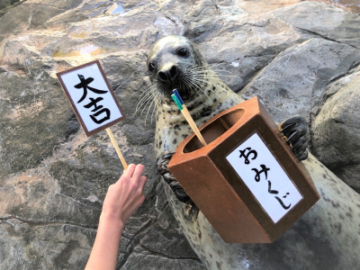 トピック