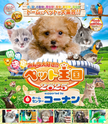 トピック